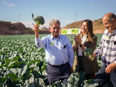 Asociación +Brócoli